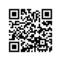 17506-943-000 Rubber