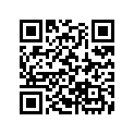 17506-HB9-000 Rubber, L. Fr.
