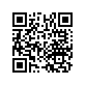 17506-HB9-770 Rubber, L. Fr.