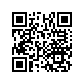 17507-HA2-000 Rubber, Rr.