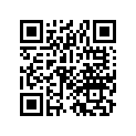 17508-447-780ZB Stripe *r-8c-s*