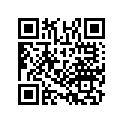 17513-KPP-940ZA BSTRIPE,L F*TYPE1*