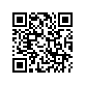 17519-HB9-000ZA Rub, R. Fr. *pb5l*