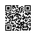 17520-943-000ZA Tk Sub, Fuel *r20*