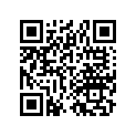 17520-958-010ZA Tk Sub, Fuel *r109*