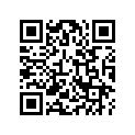 17527-ZA8-800 RUBBER,R.RR.
