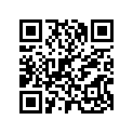 17527-ZA8-E50 RUBBER,R.RR.
