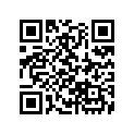 17528-ZA8-800 RUBBER,L.RR.