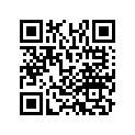 17536-K99-A01 RUBBER A