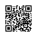 17541-MW4-300ZA MARK R,FUE*TYPE1*
