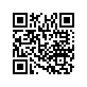 17572-KPP-T00 CUSHION, RR.