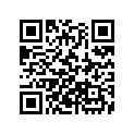 17624-ZV1-000 PIN, LOCK (4MM)