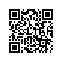 17631-ML0-003 O-RING B