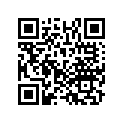 17634-ZS9-000 SEAL,METERCAP