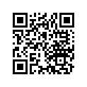 17673-836-000 RUBBER, FILTER