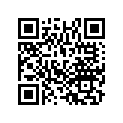 17685-ZG5-003 O-RING