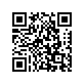 17863-48H00 O RING,CYL INLE