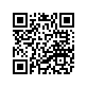 17A-11631-01-00 