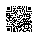 17A-21781-00-00 