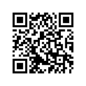 17T-17800-00-00 