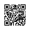 17W-84131-00-00 