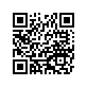 18120-1089 チヤンバ(エキゾ-スト)