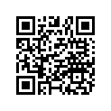 1821397-070 SKI ASSEMBLY