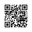 18293-386-000 Packing,band