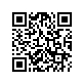 18335-KA5-681 Band