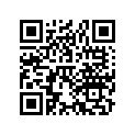 18371-286-300 BAND,R. MUFFLER