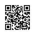 18376-HA0-681 Band, Protector (35)