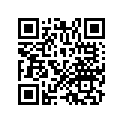 18376-ML8-013 Band B, Protector