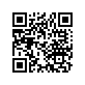 18391-223-000 Packing muff