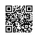 18434-375-000 Band,l prechamber