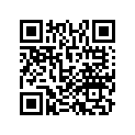 19041-MFF-D00 Rubber