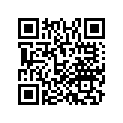 19043-MCF-300 Rubber, Protector