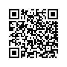 19589-06KB ENGINE, VRSCD, BLK/CHRM