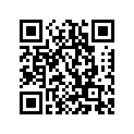 1A1-21784-00-00 GRAPHIC 4