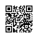 1A1-21784-30-00 GRAPHIC 4