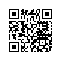 1AA-01216-9E-00 Pad, Adjusting