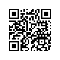 1AA-12169-GO-00 Pad, Adjusting