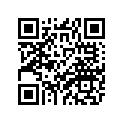 1AE-16381-10-00 