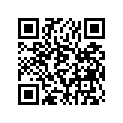 1B9-11631-00-00 Поршень