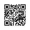1C6-H2110-00-00 Аккумулятор