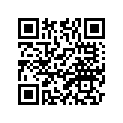 1E1-21110-00-33 