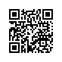 1FK-W0045-10-00 Колодки Тормозные (Комплект)