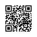 1HX-17161-00-00 