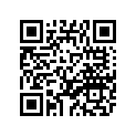 1JV-17537-60-00 Shim, Thrust