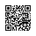 1KH-84527-00-00 Виброгаситель