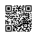 1KT-11631-01-35 Поршень